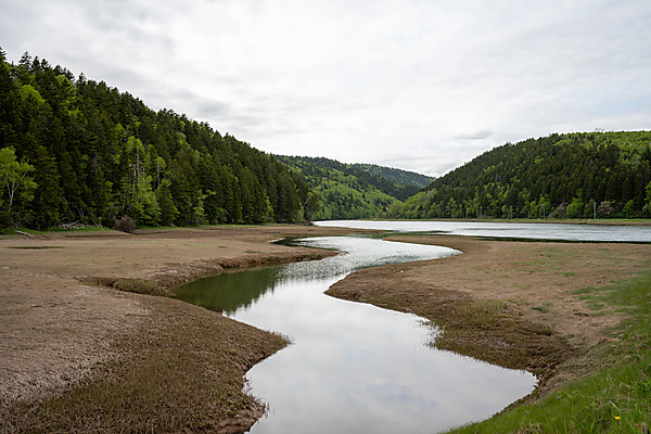 Tributary to Upper Salom Ricer