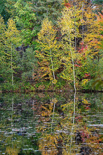 Pond at Mont Treblant