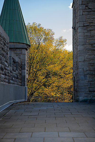 Québec City's Walls