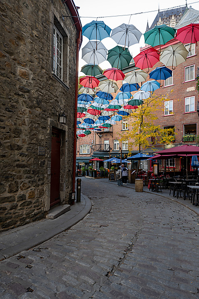 Umbrella Alley
