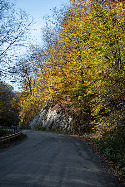 Fall Colors in the Eastern Townships