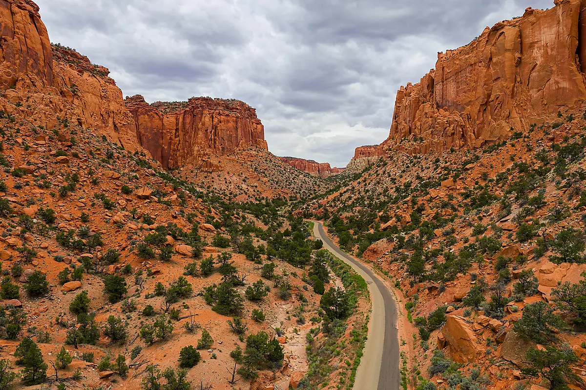 A narrow road curves through towering red sandstone cliffs and scattered desert vegetation in Long Canyon, Grand Staircase-Escalante National Monument.