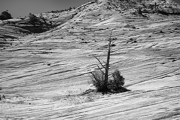 Zion Plateau