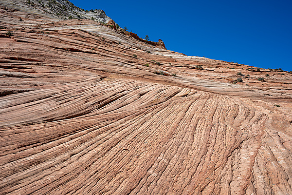 Zion Plateau