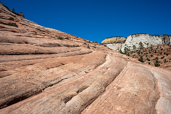 Zion Plateau