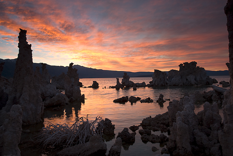  Mono Lake Tufa at Sunset 