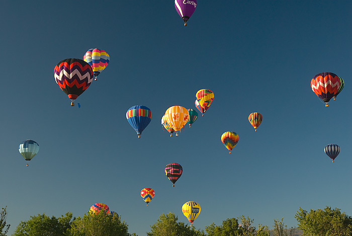 Balloons Fill the Sky