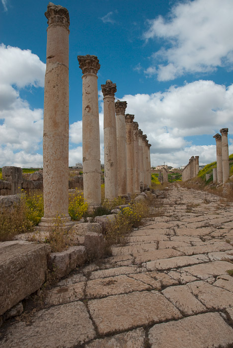 Columns along the Cardo - Jerash