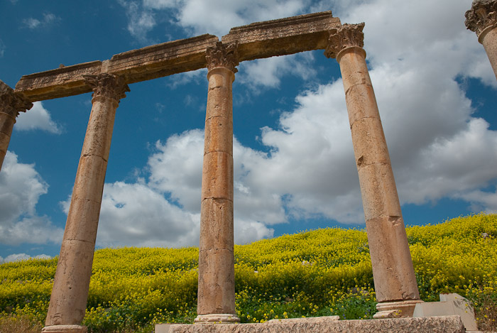 Columns along the Cardo - Jerash