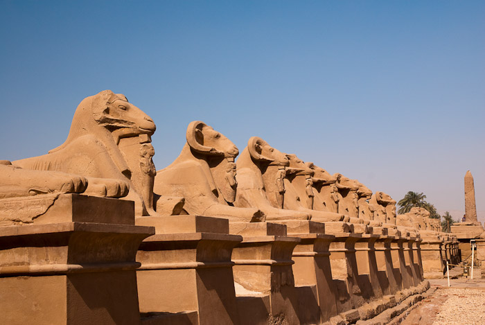 Ram-Headed Sphinxes on Processional Way at Karnak
