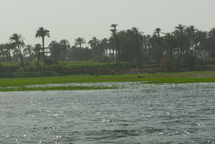 Farming on the west bank of the Nile