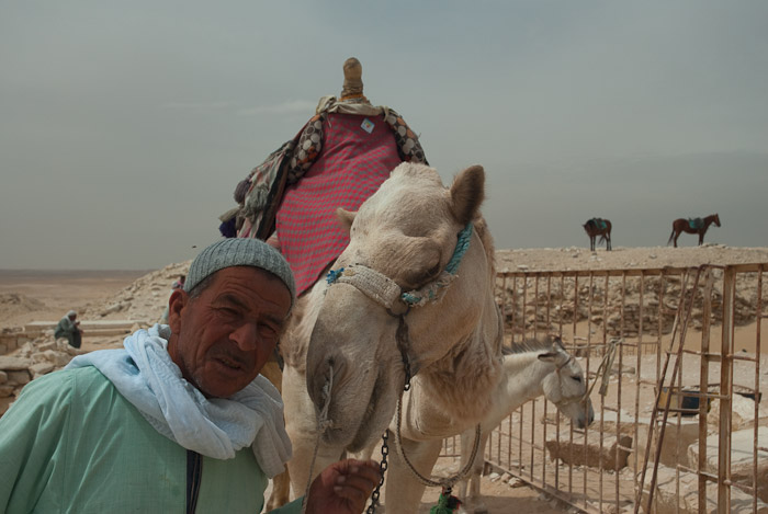 Camel Rider at Saqqara