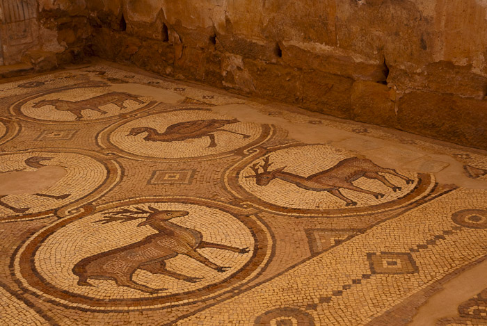 Petra Church Mosaic Floor