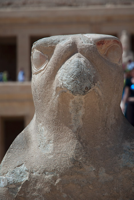 Falcon statue at Deir el-Bahri