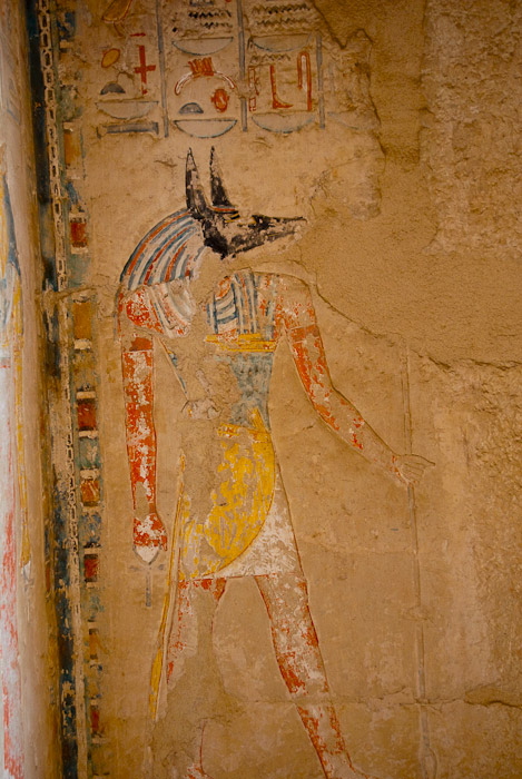 Depiction of Anubis at Deir el-Bahri