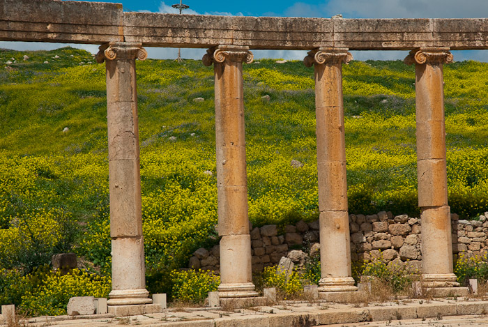 Columns of the Oval Plaza - Jerash