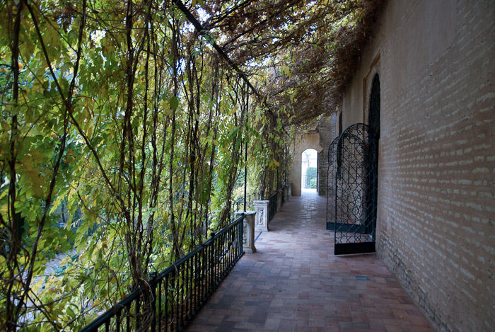 Outdoor Covered Walkway, Alcázar of Seville