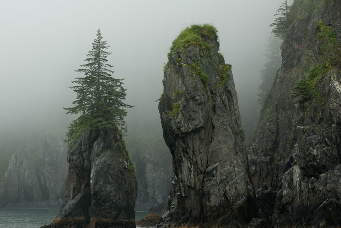 Rock Formations in the Mist