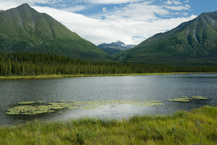 Small Lake Along the McCarthy Road