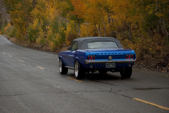 Classic Cars and Fall Colors in the Eastern Sierra