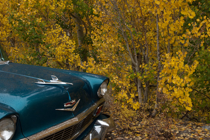 Classic Cars and Fall Colors in the Eastern Sierra