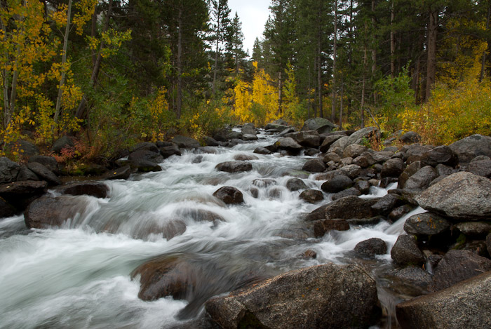 Fall Colors in the Eastern Sierra