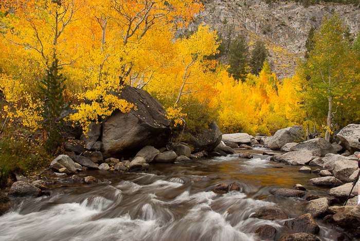 Fall Colors in the Eastern Sierra