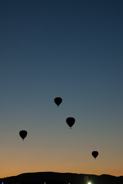 In Flight Silhouettes