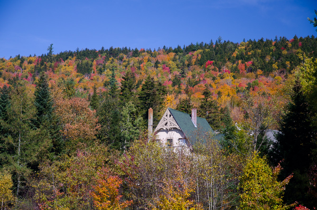 House Among the Fall Colors