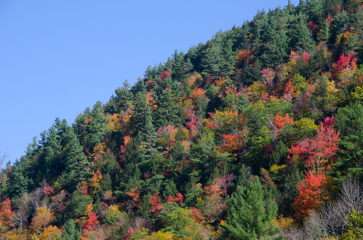 Hills with fall color