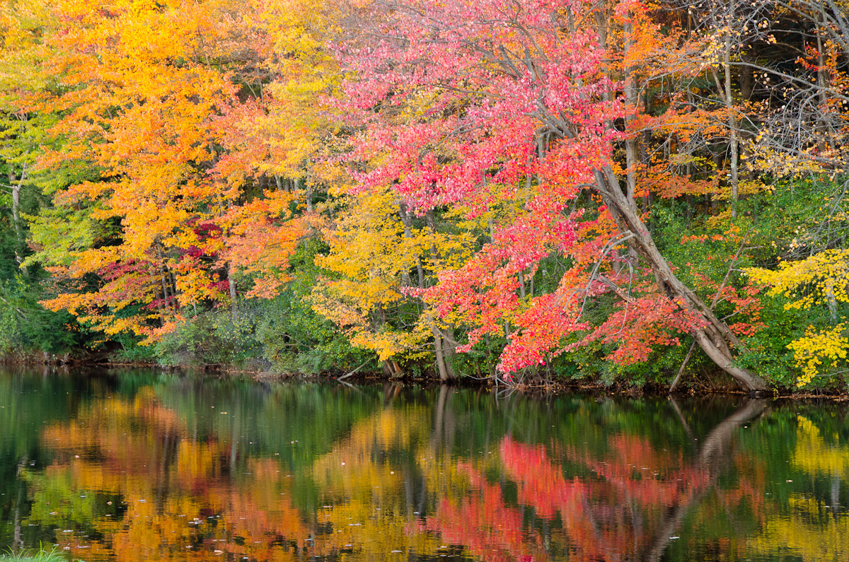 Fall Color along NH Route 103