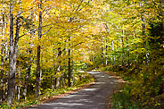 White Mountains, NH