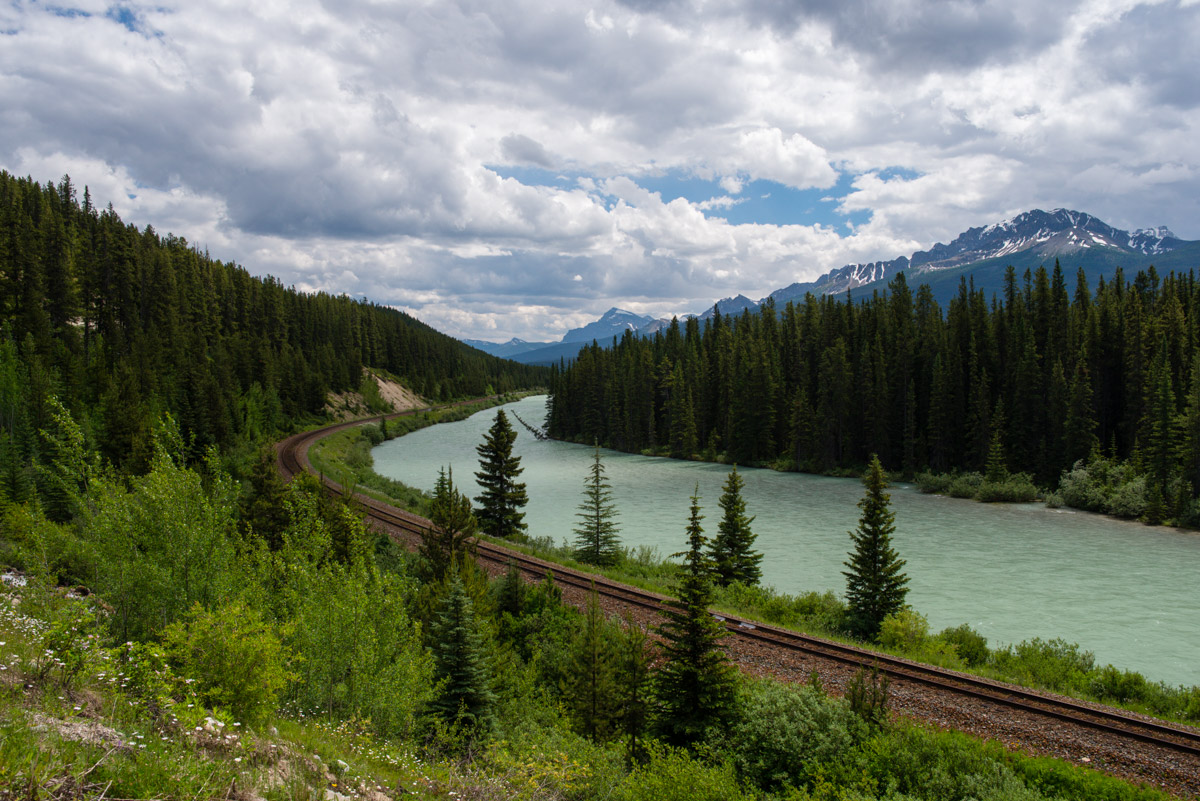 Along the Bow River