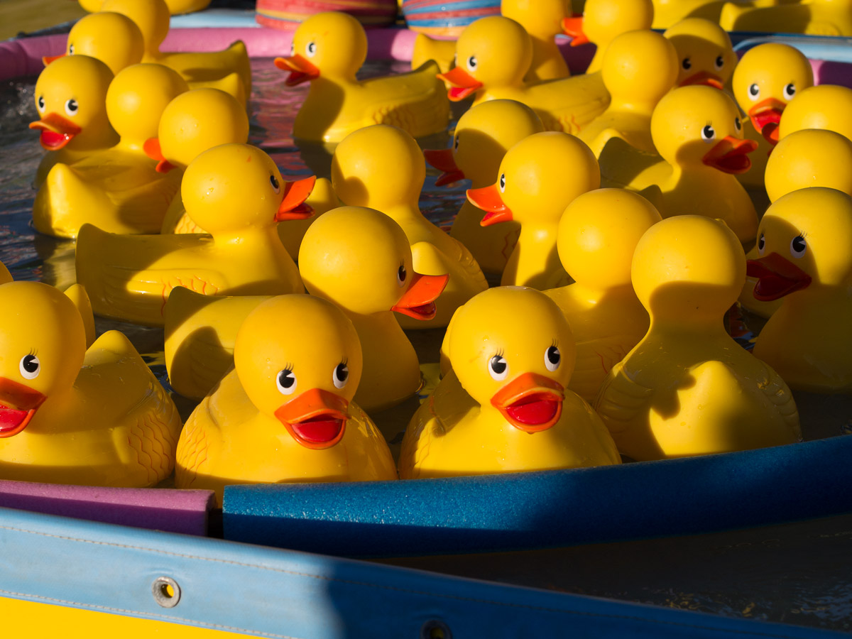 Rubber Ducks Carnival Game